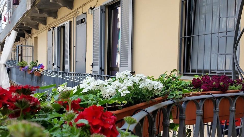 مبيت وإفطار تورينو Al Piperita المظهر الخارجي الصورة